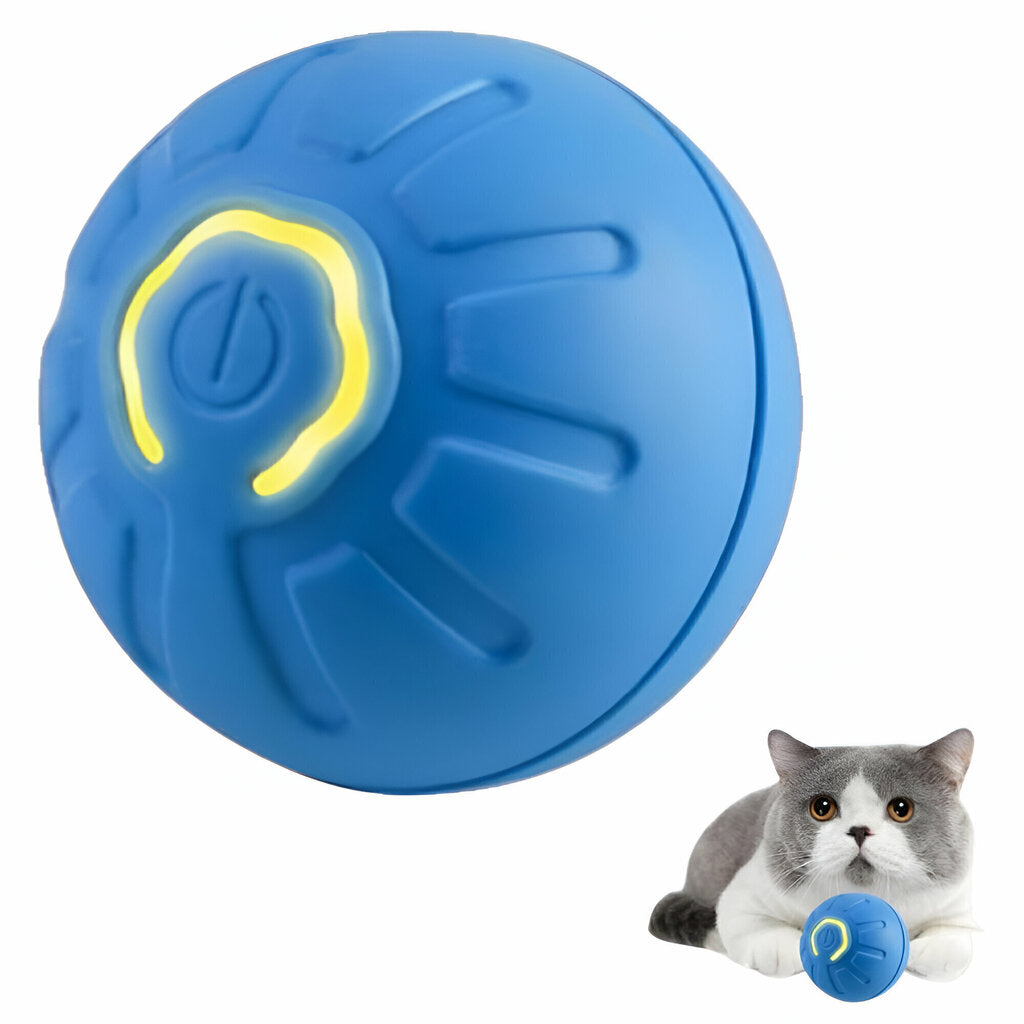 PawMotion - Smart Ball