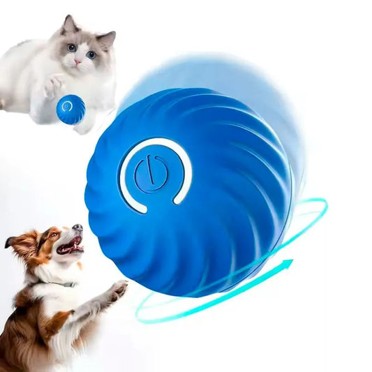 PawMotion - Smart Ball